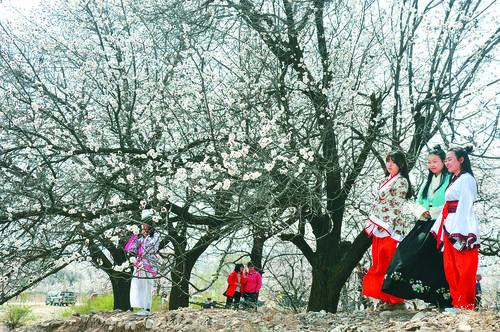 公海555000jc线路检测全球航线图